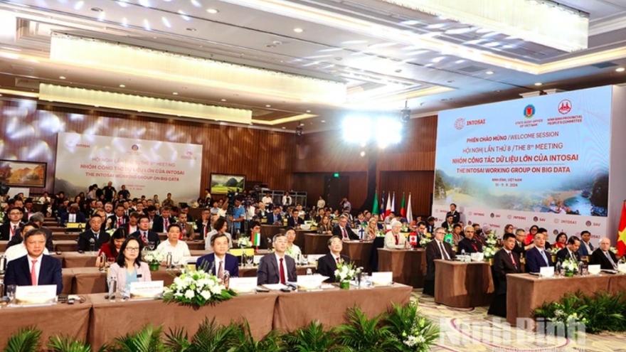 Vietnam calls for tech-driven auditing at INTOSAI working group meeting